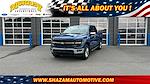 2024 Ford F-150 SuperCrew Cab 4x4 Pickup for sale #RKE62251 - photo 1