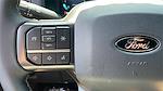 2024 Ford F-150 SuperCrew Cab 4x2 Pickup for sale #RKE63129 - photo 17