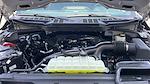 2024 Ford F-150 SuperCrew Cab 4x2 Pickup for sale #RKE63129 - photo 29