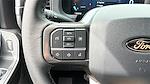 2024 Ford F-150 SuperCrew Cab 4x2 Pickup for sale #RKE79619 - photo 20