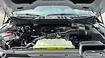 2024 Ford F-150 SuperCrew Cab 4x2 Pickup for sale #RKE79619 - photo 34