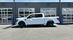 2024 Ford F-150 SuperCrew Cab 4x2 Pickup for sale #RKE87019 - photo 3