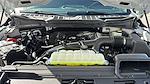 2024 Ford F-150 SuperCrew Cab 4x2 Pickup for sale #RKE88250 - photo 32