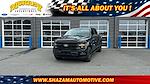 2024 Ford F-150 SuperCrew Cab 4x4 Pickup for sale #RKE88480 - photo 1