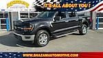 2024 Ford F-150 SuperCrew Cab 4x4 Pickup for sale #RKF30111 - photo 1