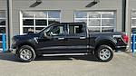 2024 Ford F-150 SuperCrew Cab 4x4 Pickup for sale #RKF30111 - photo 3