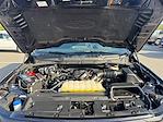 2024 Ford F-150 SuperCrew Cab 4WD Pickup for sale #RKF60338 - photo 19
