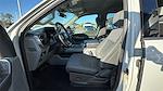 2024 Ford F-150 SuperCrew Cab 4x2 Pickup for sale #RKF69986 - photo 14