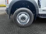 New 2025 Ford F-600 Regular Cab 4x4 Cab Chassis for sale #SDA12344 - photo 14