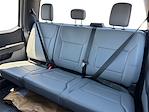 2025 Ford F-550 Crew Cab DRW 4x4 Cab Chassis for sale #SEC86427 - photo 13
