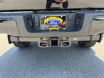 2025 Ford F-350 Crew Cab SRW 4x4 Pickup for sale #SEC90852 - photo 19