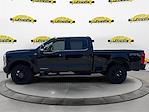 2025 Ford F-350 Crew Cab SRW 4x4 Pickup for sale #SEC90852 - photo 3
