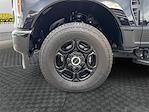 New 2025 Ford F-250 XL Crew Cab for sale #SEC95800P - photo 14