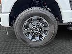 2025 Ford F-250 Crew Cab 4x4 Pickup for sale #SED23058 - photo 14