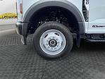 2025 Ford F-550 Crew Cab DRW 4x4 Cab Chassis for sale #SED40469 - photo 14