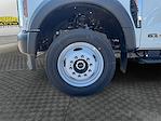 2025 Ford F-450 Crew Cab DRW 4x4 Cab Chassis for sale #SED41290 - photo 14