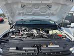 New 2025 Ford F-250 XL Crew Cab for sale #SED98296 - photo 19