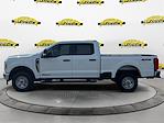 New 2025 Ford F-250 XL Crew Cab for sale #SED98296 - photo 3