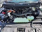 2025 Ford F-150 SuperCrew Cab 4x4 Pickup for sale #SFB33317 - photo 25