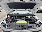 2025 Ford F-150 SuperCrew Cab 4WD Pickup for sale #SFC19438 - photo 19