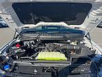 2025 Ford F-150 SuperCrew Cab 4WD Pickup for sale #SFC25609 - photo 19