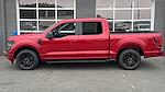 2025 Ford F-150 SuperCrew Cab 4x2 Pickup for sale #SKD03925 - photo 3