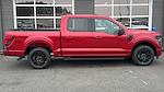 2025 Ford F-150 SuperCrew Cab 4x2 Pickup for sale #SKD03925 - photo 26