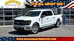 2025 Ford F-150 SuperCrew Cab 4x2 Pickup for sale #SKD04502 - photo 1