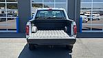 2025 Ford F-150 SuperCrew Cab 4x4 Pickup for sale #SKD13068 - photo 24