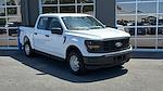 2025 Ford F-150 SuperCrew Cab 4x4 Pickup for sale #SKD13068 - photo 27