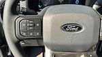 2025 Ford F-150 SuperCrew Cab 4x2 Pickup for sale #SKD14034 - photo 10