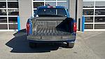 2025 Ford F-150 SuperCrew Cab 4x4 Pickup for sale #SKD46019 - photo 24