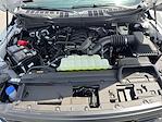 2025 Ford F-150 Super Cab 4x4 Pickup for sale #SKD60438 - photo 25