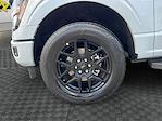 2025 Ford F-150 SuperCrew Cab 4x4 Pickup for sale #SKD90297 - photo 14