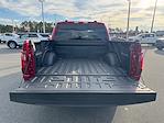 2025 Ford F-150 SuperCrew Cab RWD Pickup for sale #SKE31911 - photo 18