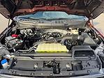 2025 Ford F-150 SuperCrew Cab RWD Pickup for sale #SKE31911 - photo 19