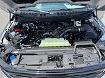 2025 Ford F-150 SuperCrew Cab 4x4 Pickup for sale #SKE43422 - photo 25