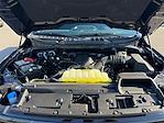 New 2025 Ford F-150 XLT SuperCrew Cab 4x4 Pickup for sale #SKE84021 - photo 19