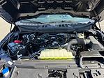 New 2025 Ford F-150 STX SuperCrew Cab 4x4 Pickup for sale #SKF03758 - photo 19