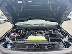 2025 Ford F-150 SuperCrew Cab 4WD Pickup for sale #SKF49059 - photo 19
