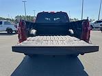 2025 Ford F-150 SuperCrew Cab 4WD Pickup for sale #SKF51384 - photo 18