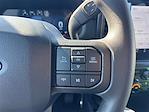 2025 Ford F-150 SuperCrew Cab RWD Pickup for sale #SKF52232 - photo 22