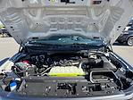 2025 Ford F-150 SuperCrew Cab 4WD Pickup for sale #SKF53291 - photo 19