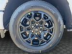 2025 Ford F-150 SuperCrew Cab RWD Pickup for sale #SKF54945 - photo 14