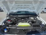 2025 Ford F-150 SuperCrew Cab RWD Pickup for sale #SKF54945 - photo 19
