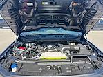 New 2025 Ford F-150 STX SuperCrew Cab for sale #SKF56549 - photo 19