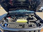 2025 Ford F-150 SuperCrew Cab RWD Pickup for sale #SKF56987 - photo 19