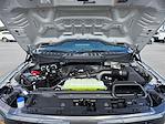 2025 Ford F-150 SuperCrew Cab 4WD Pickup for sale #SKF67048 - photo 19