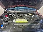 2025 Ford F-150 SuperCrew Cab RWD Pickup for sale #SKF77453 - photo 19