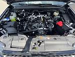 New 2025 Ford Ranger XLT SuperCrew Cab Pickup for sale #SLE29550 - photo 24